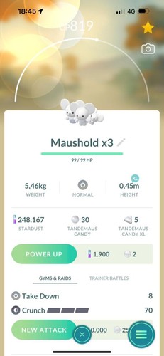 Maushold - (famiglia, di