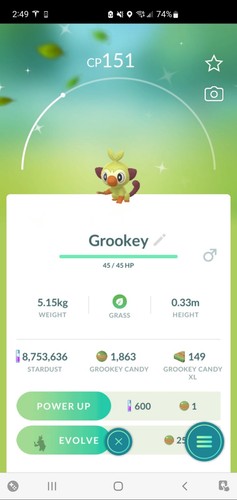 Pokemon shiny grookey - pokemon,