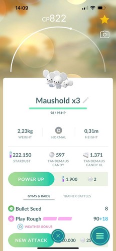 Maushold - , di