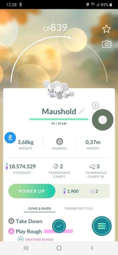Pokémon maushold famiglia di - pokémon,