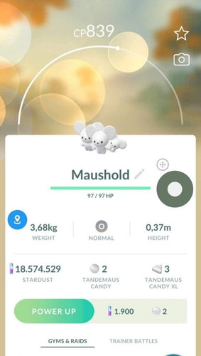 Pokémon maushold - ✨,