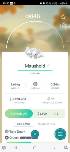 Maushold - , di