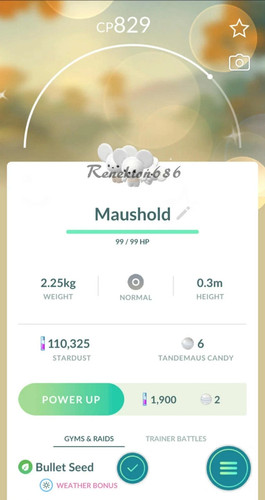 Pokémon shiny maushold - ✨,