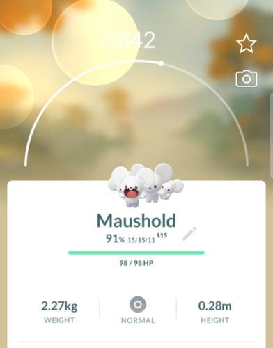 Maushold famiglia stesso - maushold, di