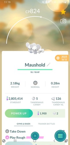 Non shiny maushold - 🐁non,